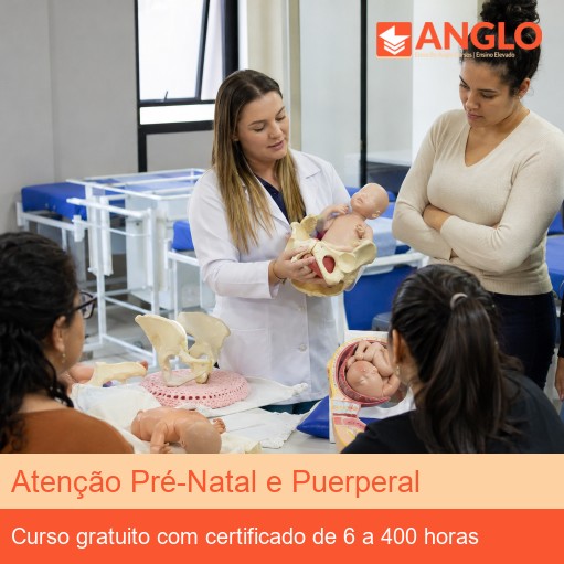 Atenção Pré-Natal e Puerperal